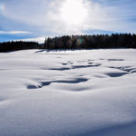 Winter Ore Mountains